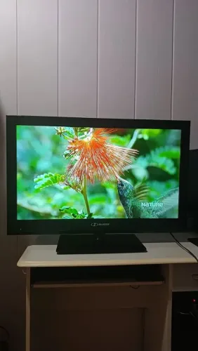 TV BUSTER LCD 32 POLEGADAS