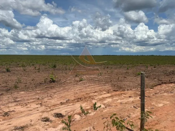 Fazenda - Chapada Gaúcha - Zona Rural