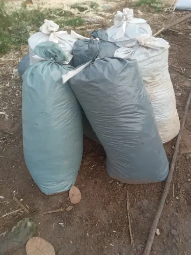ESTERCO DE GADO