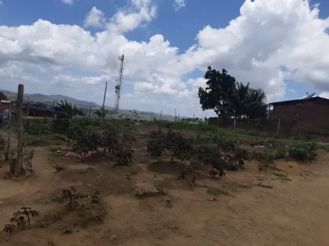 Terreno 