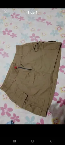 Saia cargo