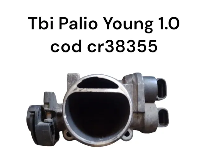 Tbi palio young 1.0