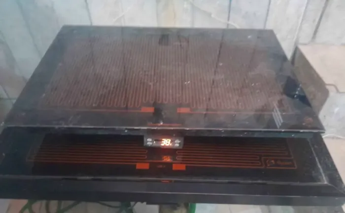 Vidro termoelétrico pista quente sobrepor buffet