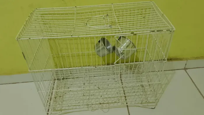 Vendo gaiola de passar