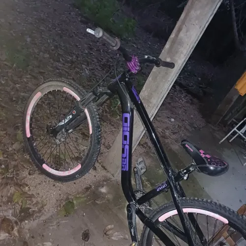 Gios 4Freaks 2025