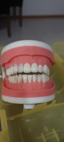 Manequim Dentistica