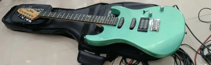 Guitarra Tagima tw