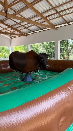 Locação de brinquedos