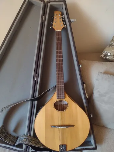 Bouzouki irlandês elétrico (de Luthier, com case, todo maciço )