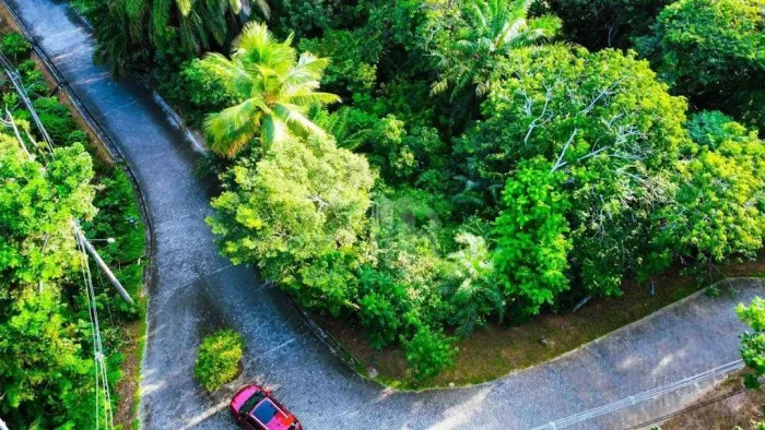 Lote em Condomínio Fechado Fazenda Praia do Forte | 450m² | Segurança, Verde e Qualidade
