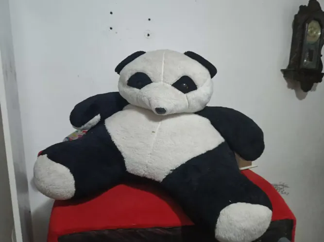 Vendo esses ursos ,cada um por 100  reais .