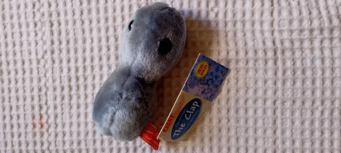 Pelúcia Giant Microbes gonorréia para aula de biologia