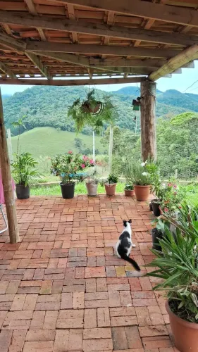 Casa com 4 quartos/dormitórios no Vila Junckes, em São Pedro de Alcântara- SC