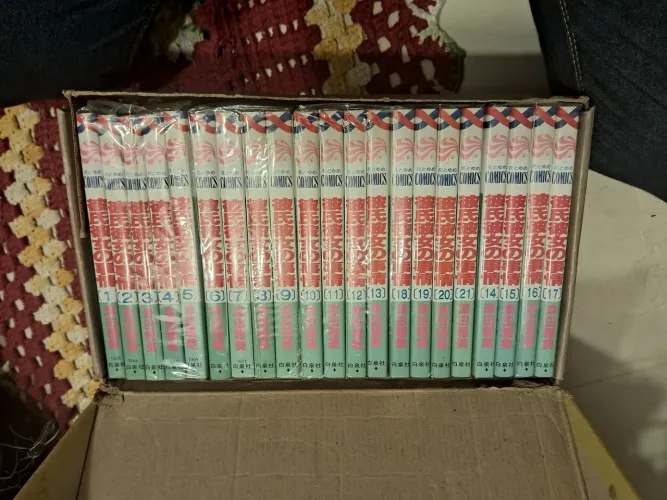 Coleção de Mangás Kare Kano - Volumes 1 a 21 em japonês estado impecável