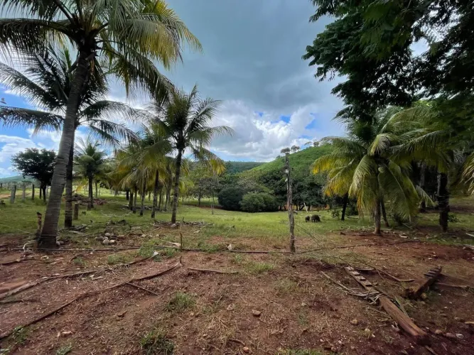 Fazenda.