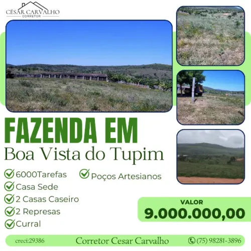 FAZENDA EM BOA VISTA DO TUPIM - 6000 TAREFAS