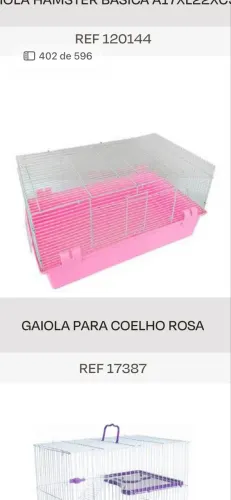 Gaiola para porquinho da índia