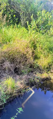 Terreno na zona rural de corte de pedra-Presidente Tancredo Neves