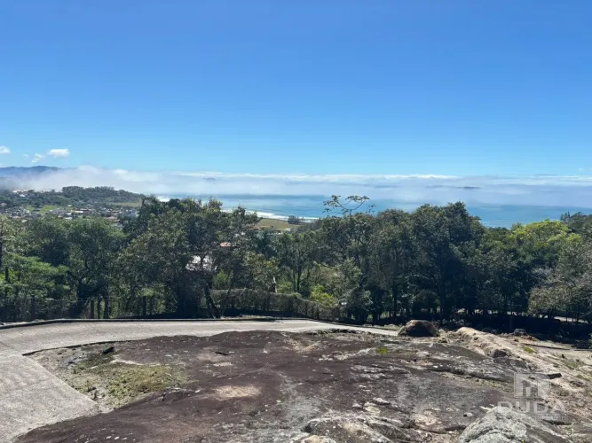 Um refúgio entre a natureza e o mar, na Gamboa.