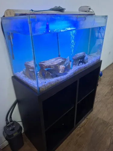 Decoração