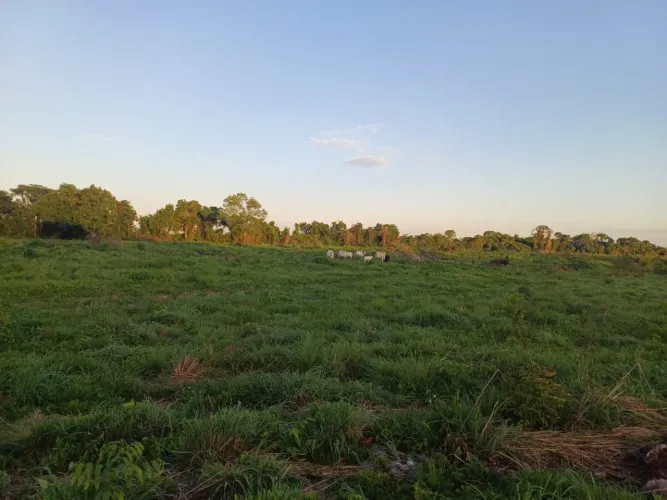 Fazenda em flores de Goiás 