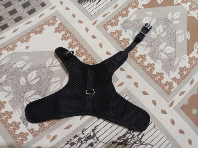 coleira para gatos, tem regulagem