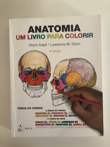Livro de anatomia para pintar