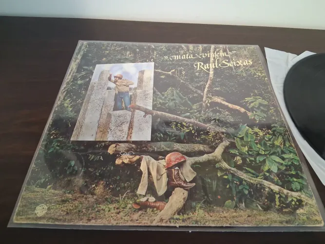 Lp disco de vinil de Raul Seixas 