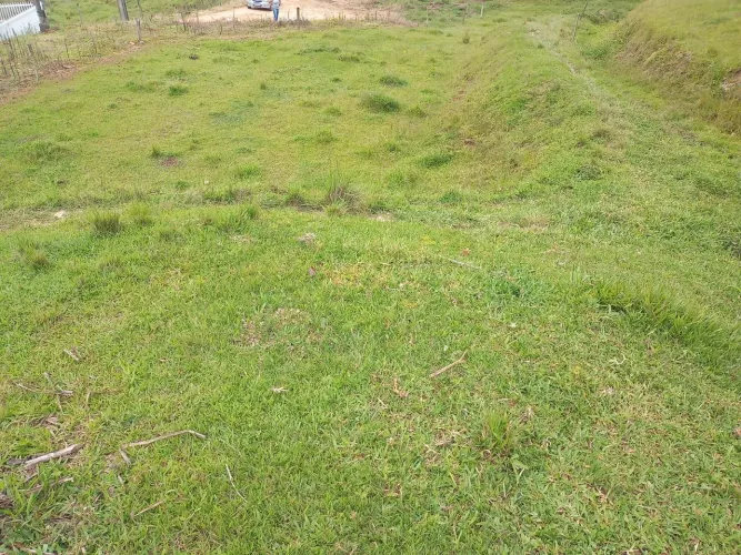 Vendo terreno 