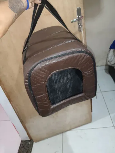 Transporte pet