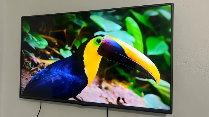 Tv LG 49 polegadas