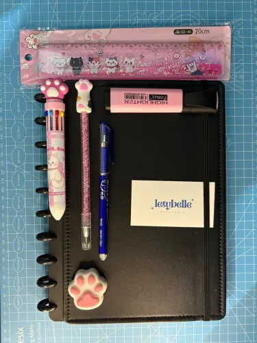 Kit gatinho: caderno 10 discos (B5) + Caneta 10 cores + marca-texto