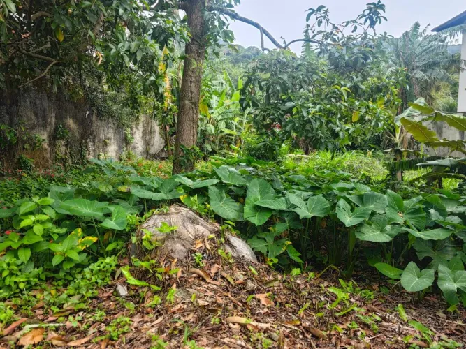 Terreno em condomínio na praia de Toque Toque Pequeno