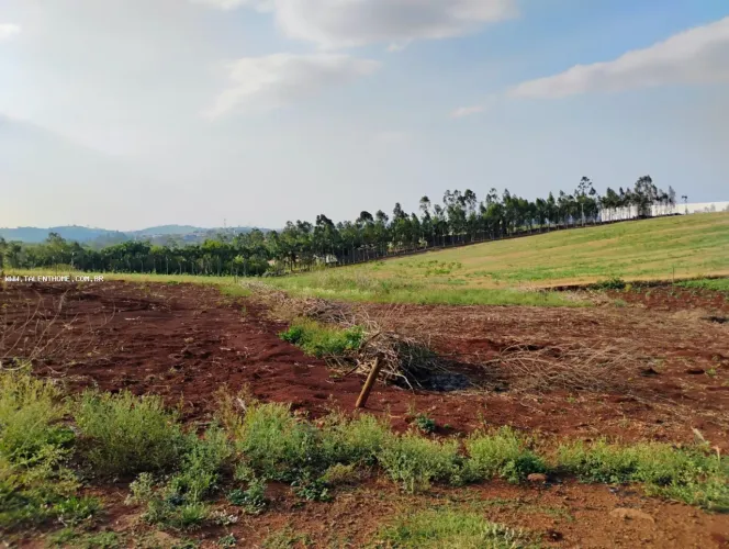 Terreno para Venda em Jataizinho, JATAIZINHO