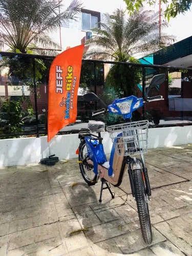 Bicicleta Elétrica Sousa 350W