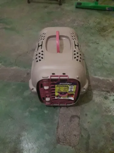 Transportador de pety numero 1 nova nunca usada