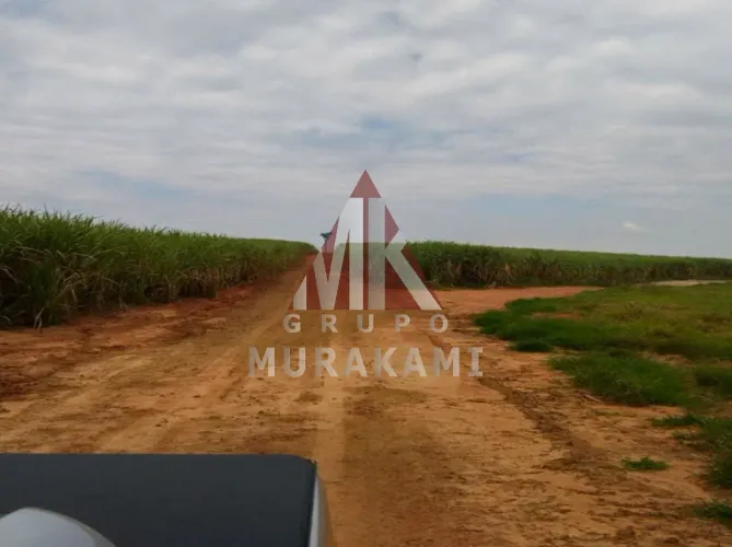 FAZENDA EM PRESIDENTE PRUDENTE SÃO PAULO