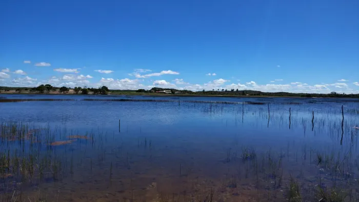 área para sítio lagoa dos tambaquis abais