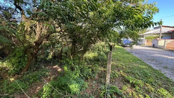 Terreno para Venda em Florianópolis, Pântano do Sul