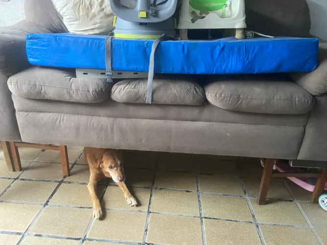Sofá pra doar