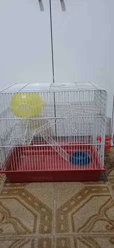 Gaiola retangular para hamster usada