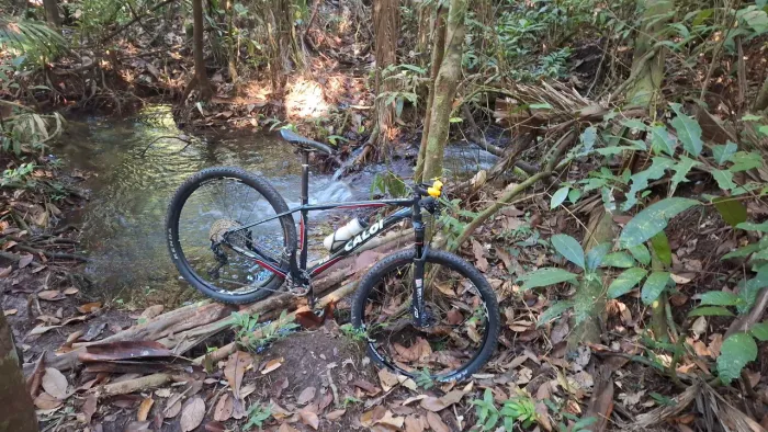 Bicicleta caloi elite 2019