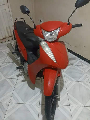 Vendo bull