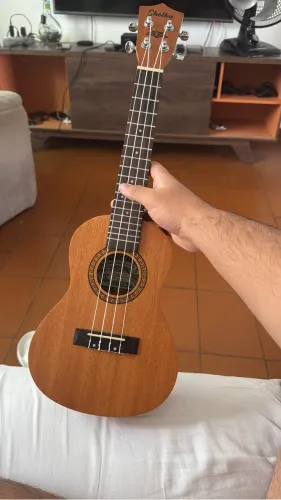 Ukulele Shelby Concert