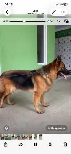 Disponível 