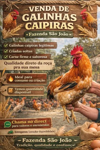 Venda de galinhas caipiras