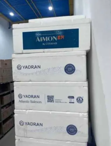 Caixas de Isopor 60 litros