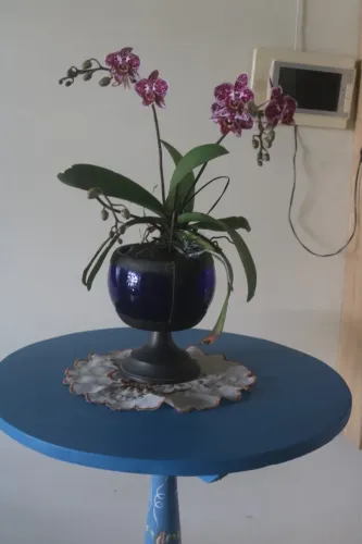 MESA DECORACAO