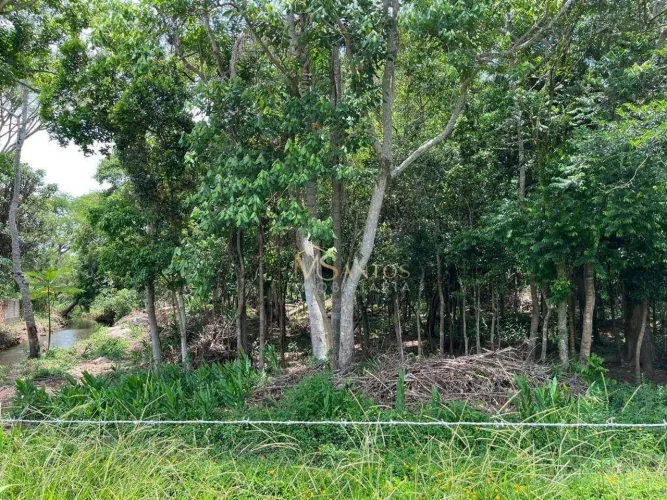 Terreno à venda, 6394 m² por R$ 2.500.000,00 - Ratones - Florianópolis/SC