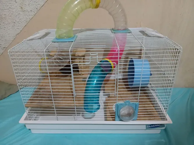 Gaiola para hamster ou gerbil